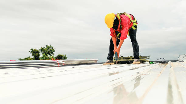 Best Storm Damage Roof Repair  in Millersburg, OH